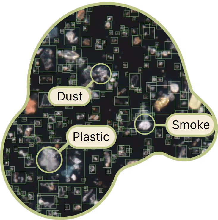 AI enabled identification