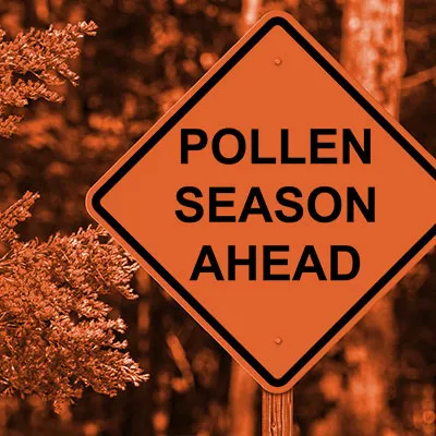 Three Ways to Prep for Allergy Season