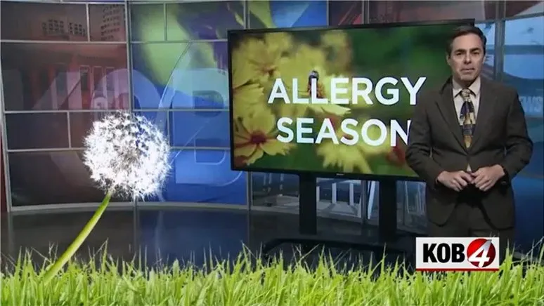 KOB 4 explains how all that different pollen is detected