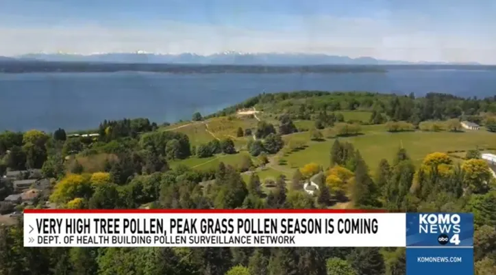 Washington DOH introduces real-time pollen monitoring to combat spring allergies