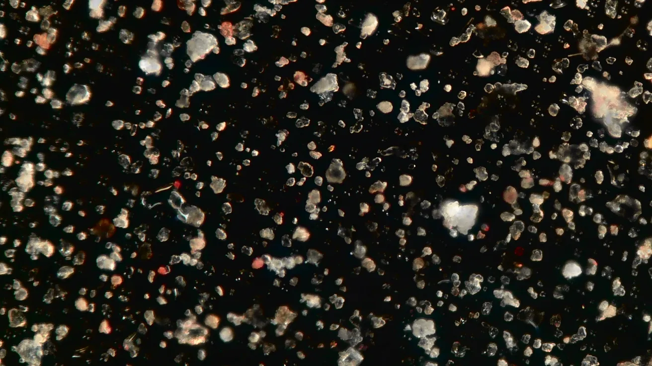 Pollen Sense sensor hardware used to capture airborne particle images.
